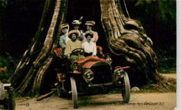 73934436 Vancouver_BC_Canada Automobile In The Big Cedar Stanley Park - Unclassified