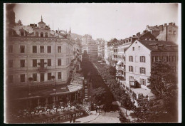 Fotografie Brück & Sohn Meissen, Ansicht Karlsbad, Untere Parkstrasse, Hotel Kroh Donau  - Lieux