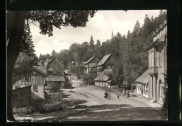 AK Schierke, Strassenpartie Mit Kirchberg  - Schierke