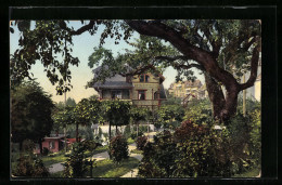 AK Weggis /Vierwaldstättersee, Gartenpartie Vom Hotel Post Und Villa Rusticana  - Weggis