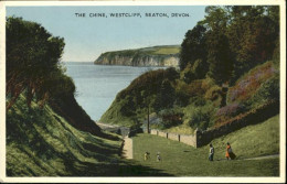 71036643 Seaton East Devon Chine Westcliff Seaton East Devon - Andere & Zonder Classificatie