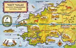 R154128 West Wales. Including Pembrokeshire National Park. Salmon. 1978 - Monde