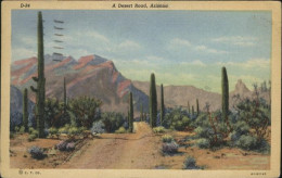 71031839 Arizona Desert Road Arizona - Other & Unclassified