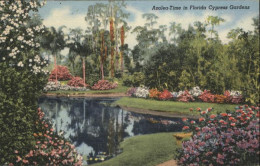 71031835 Florida Azalea Time Cypress Gardens - Otros & Sin Clasificación