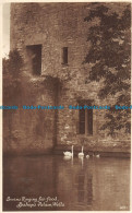 R152932 Swans Ringing For Food Bishops Palace Wells. S. Radnedge. 1924 - Wereld