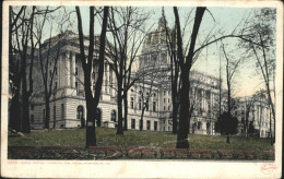 71031818 Harrisburg Pennsylvania State Capitol Throuch The Trees Harrisburg Penn - Other & Unclassified