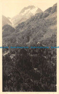 R152942 Old Postcard. Forest View From The Air - Wereld