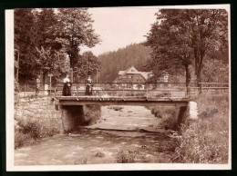 Fotografie Brück & Sohn Meissen, Ansicht Oberbärenburg, Waldwiese Mit Bachlauf Und Brücke  - Places