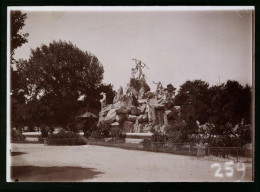 Fotografie Brück & Sohn Meissen, Ansicht Budapest, Partie An Der Fontaine Im Stadtwäldchen  - Lieux