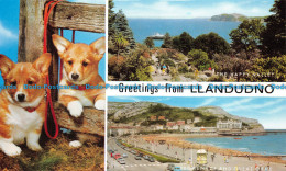 R153625 Greetings From Llandudno. Multi View. Salmon - World