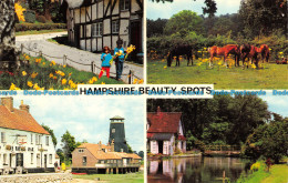R153015 Hampshire Beauty Spots. Multi View. Photo Precision. 1978 - Monde