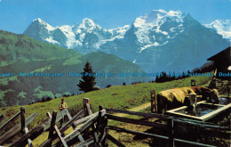 R153648 Berner Oberland Eiger Monch Und Jungfrau. H. Steinhauer. 1970 - Monde