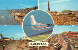 R153649 Blackpool. Multi View. Photo Precision. Colourmaster - World