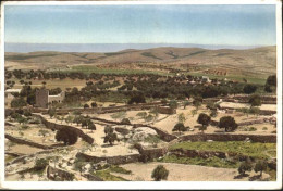 70956696 Bethlehem Yerushalayim  Towards Desert Shepherds  - Israel