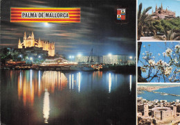 PALMA DE MALLORCA . La Catedral Y El Castillo De Beniver - Autres & Non Classés