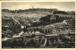 70956610 Jerusalem Yerushalayim Garden Gethsemane Mount Olives  - Israel