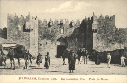 70956608 Jerusalem Yerushalayim Damascus Gate Kamel Esel  - Israel