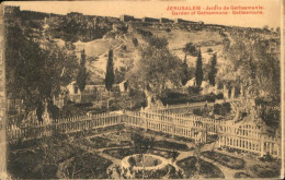 70956598 Jerusalem Yerushalayim Garden Gethsemane  - Israel