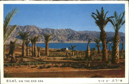 70956455 Eilat Red Sea Eilat - Israel