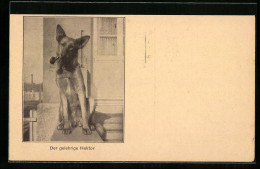 AK Der Gelehrige Hektor - Schäferhund Mit Tabakspfeife  - Cani