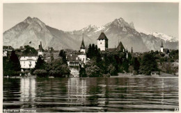 13960744 SPIEZ_Thunersee_BE Panorama Mit Schloss  - Other & Unclassified
