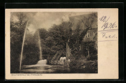 AK Pinneberg, Wulfsmühle Vom Wasser Gesehen  - Pinneberg