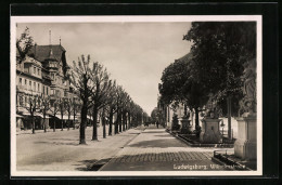 AK Ludwigsburg, Partie In Der Wilhelmstrasse, Mit Skulpturen  - Ludwigsburg