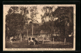 AK Plön, Niedersächsisches Bauernhaus Reedwisch Auf Der Prinzeninsel  - Ploen