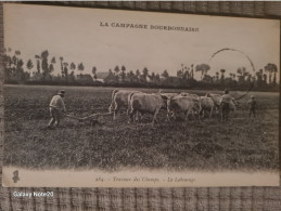 LA VIE AUX CHAMPS...travaux Des Champs. Le Labourage... - Altri & Non Classificati