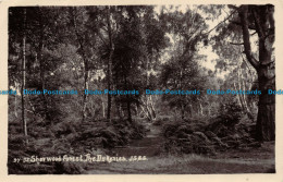 R154241 Sherwood Forest. The Dukeries - World