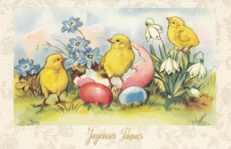 JOYEUSES PAQUES - Ostern