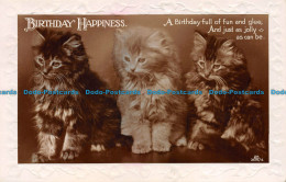 R154846 Greetings. Birthday Happiness. Three Kittens. RP - World