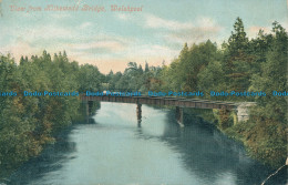 R154859 View From Kilkewedd Bridge. Welshpool. Valentine. 1906 - World