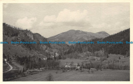 R154922 Old Postcard. House And Fields Near The Mountains. RP - World