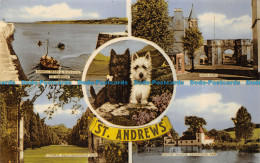 R154926 St. Andrews. Multi View. M. And L. National - World