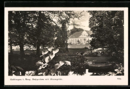 AK Oettingen, Hofgarten Mit Orangerie  - Autres & Non Classés