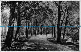 R154970 The Green Drive. Lytham. Frank Pickles. 1930 - World