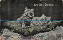 R155023 Two Little Orphans. Kittens. 1907 - World