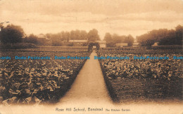 R155047 Rose Hill School. Banstead. The Kitchen Garden. P. A. Buchanan. 1967 - World