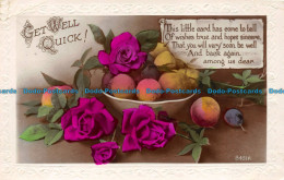 R155052 Greetings. Get Well Quick. Roses And Apples. Art. RP - World