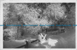 R155054 Old Postcard. Snow In The Woods - World