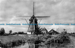 R155079 Watermolen Bij Naardermeer - World