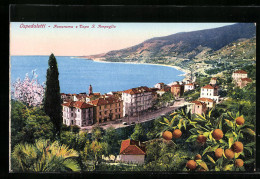 Cartolina Ospedaletti, Panorama E Capo S. Ampeglio  - Sonstige & Ohne Zuordnung