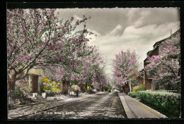 AK Berlin-Britz, Onkel Bräsig Strasse Im Frühling  - Neukoelln