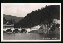 AK Mariazell, Walster, Uferpartie Mit Brücke  - Other & Unclassified