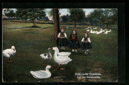 AK Kleine Mädchen Mit Gänsen, Hessische Trachten  - Costumes