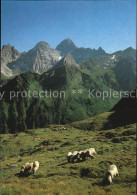 72391730 Tirol Region Geschnitztal Tribulaungruppe Schafe  Tirol Region - Other & Unclassified