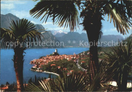 72391388 Malcesine Lago Di Garda Gesamtansicht Malcesine - Autres & Non Classés