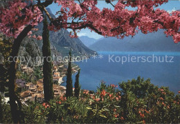 72391333 Limone Sul Garda Panorama Firenze - Autres & Non Classés