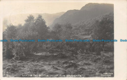 R155356 In The Duddon Valley Near Seathwaite. Lowe. 1924 - World